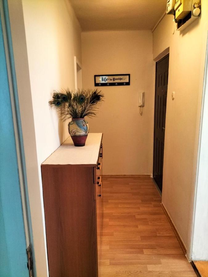 Apartman Lulu Apartamento Rijeka Exterior foto